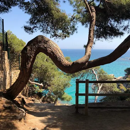 Appartement Excepcional 1ª Linea De Mar Elypalace 10-2 *