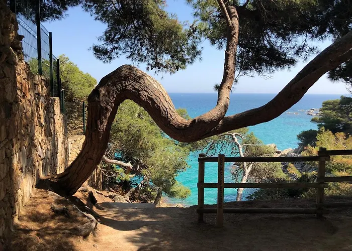 Apartamento Excepcional 1ª Línea De Mar Elypalace 10-2 *