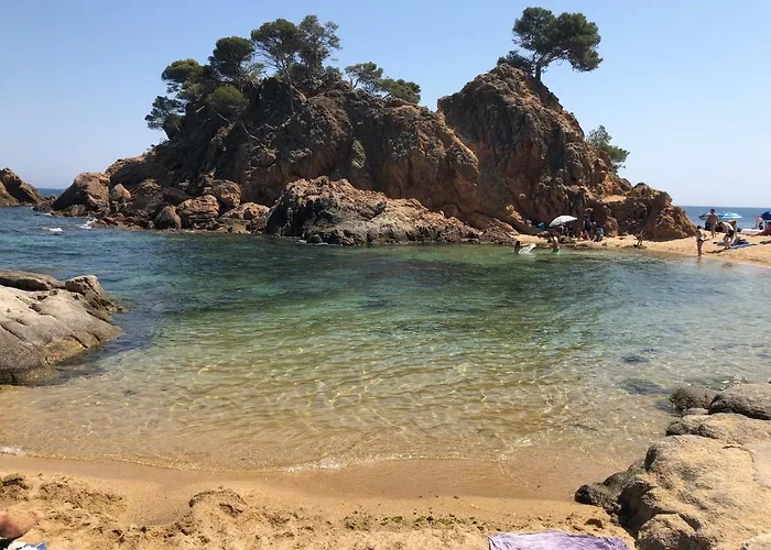 Excepcional 1ª Línea De Mar Elypalace 10-2