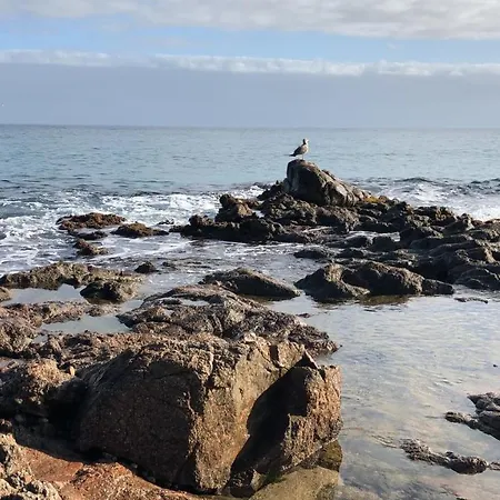 Excepcional 1ª Linea De Mar Elypalace 10-2 شقة