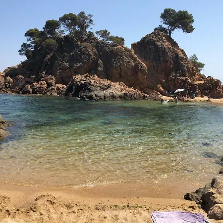 Excepcional 1ª Linea De Mar Elypalace 10-2