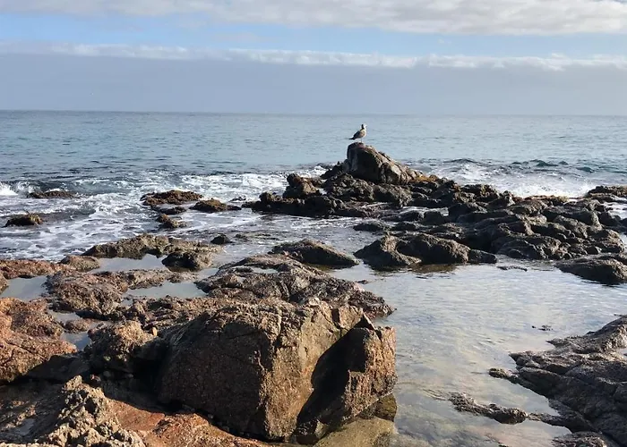 Excepcional 1ª Linea De Mar Elypalace 10-2 Lägenhet